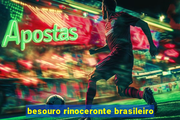 besouro rinoceronte brasileiro