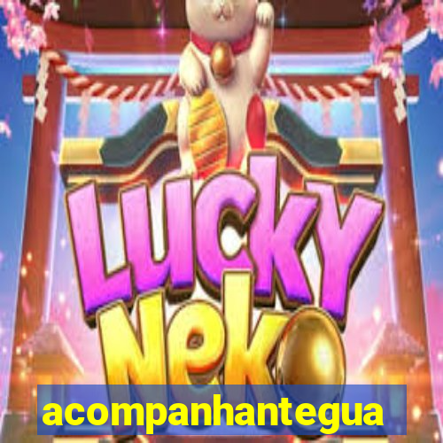 acompanhanteguanambi