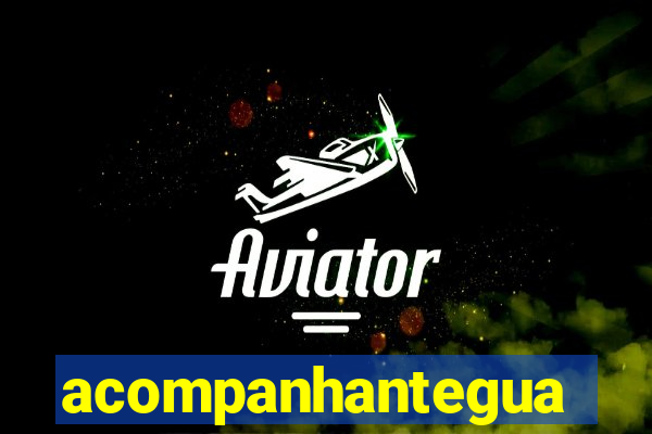 acompanhanteguanambi
