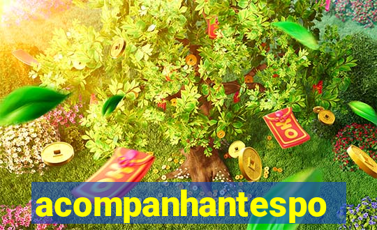 acompanhantesportovelho