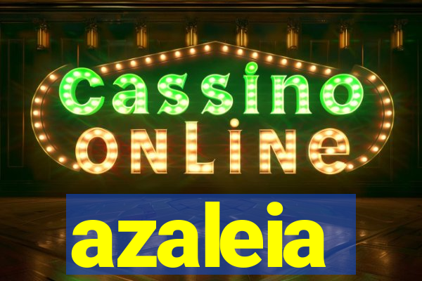 azaleia-br.com
