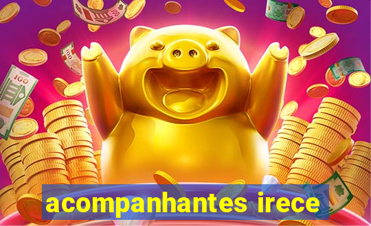 acompanhantes irece