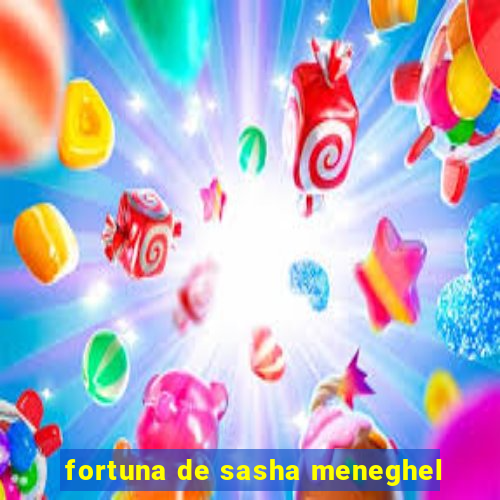 fortuna de sasha meneghel