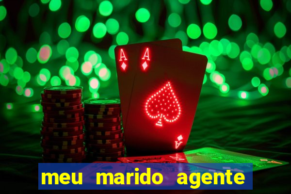 meu marido agente secreto torrent