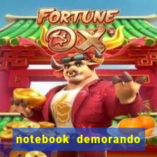 notebook demorando para ligar tela preta