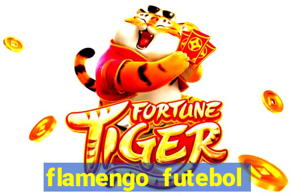 flamengo futebol play hd
