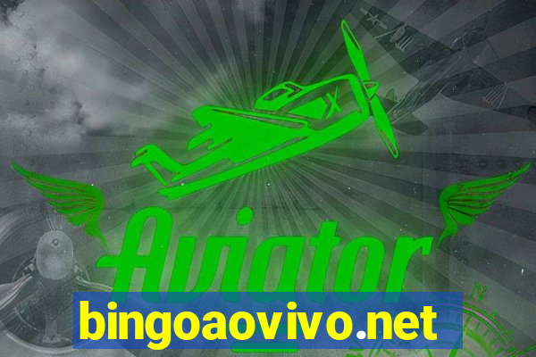 bingoaovivo.net