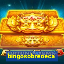 bingosobreoeca