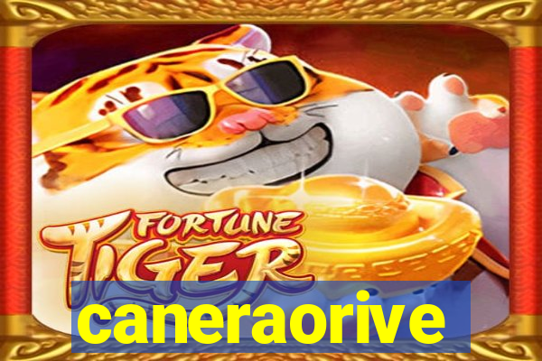 caneraorive