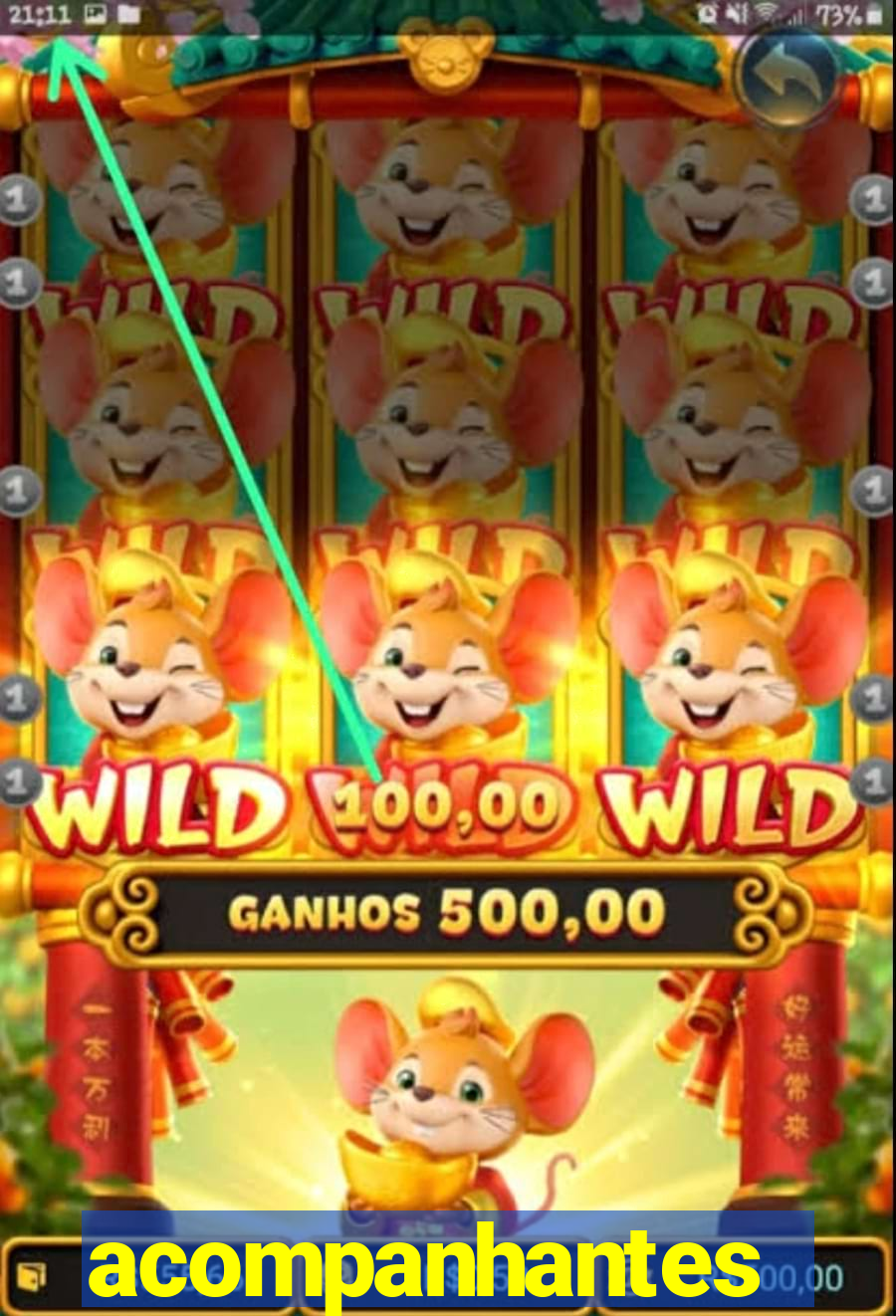acompanhantes cachoeirinha sp