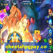 cheetahpgpay.com