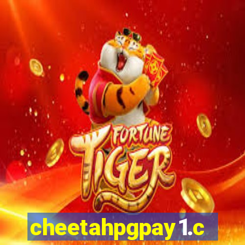 cheetahpgpay1.com