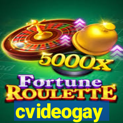 cvideogay