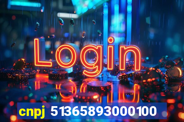 cnpj 51365893000100