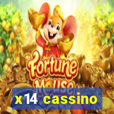 x14 cassino