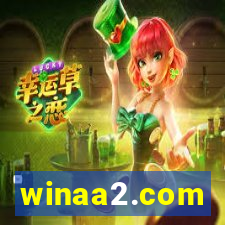 winaa2.com