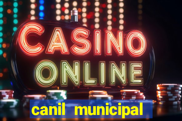 canil municipal porto alegre