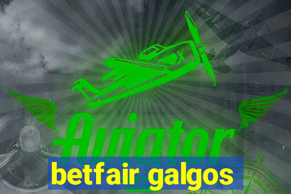 betfair galgos