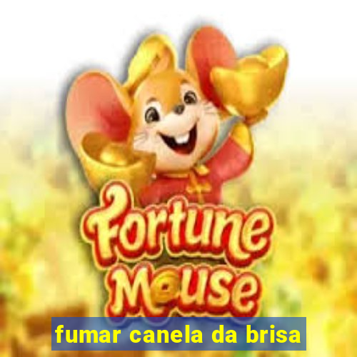 fumar canela da brisa