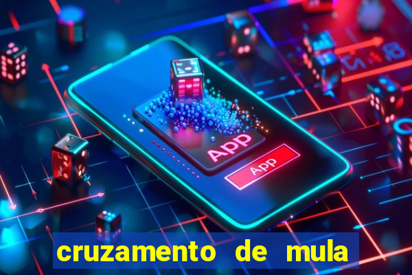 cruzamento de mula com cavalo