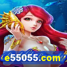 e55055.com