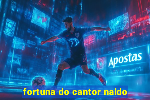 fortuna do cantor naldo