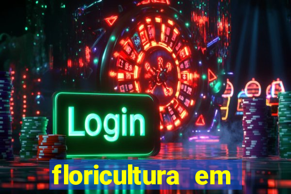 floricultura em franca sp