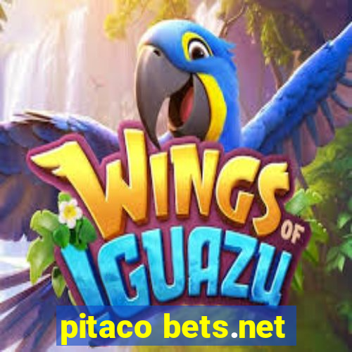 pitaco bets.net