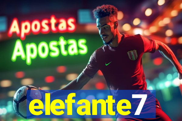 elefante7