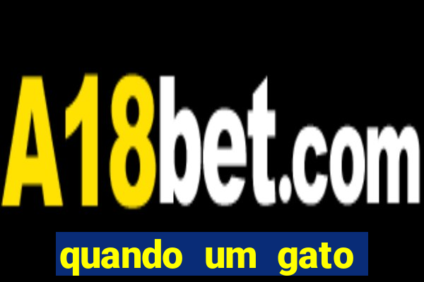 quando um gato aparece do nada significado espiritual