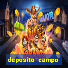 deposito campo grande santos