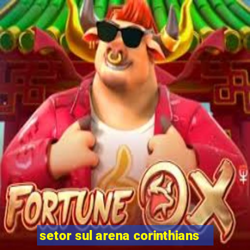 setor sul arena corinthians