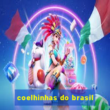 coelhinhas do brasil
