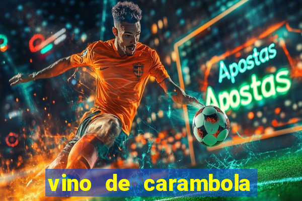 vino de carambola stardew valley