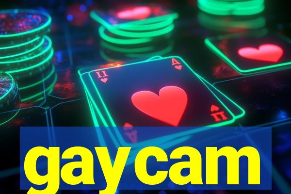 gaycam