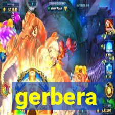 gerbera-dh.com