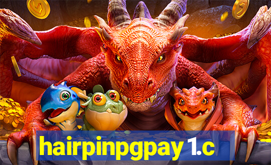 hairpinpgpay1.com
