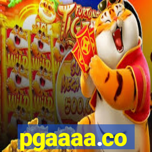 pgaaaa.co