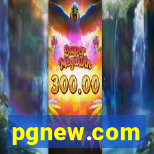 pgnew.com