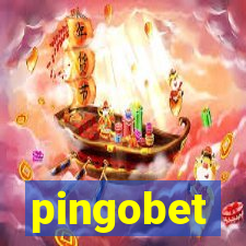 pingobet