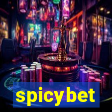 spicybet-1.com