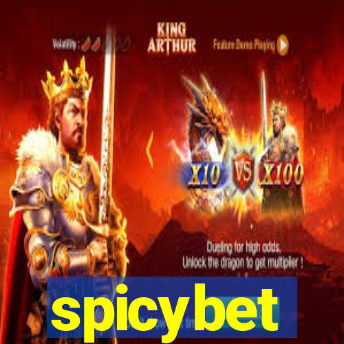 spicybet-2.com