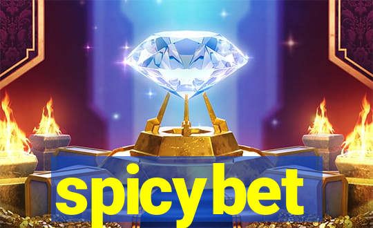 spicybet-2.com