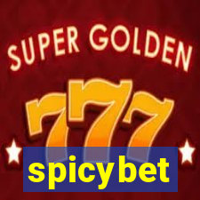 spicybet-4.com