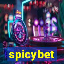 spicybet-4.com