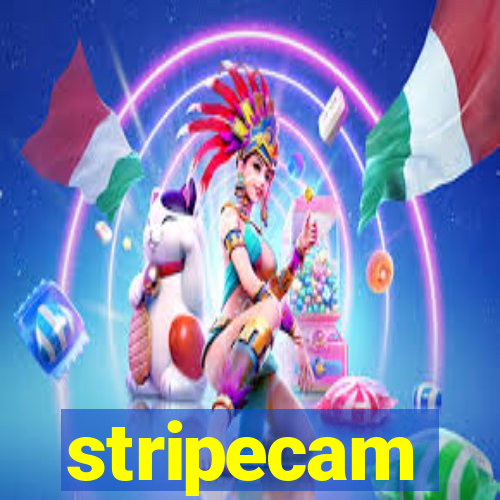 stripecam