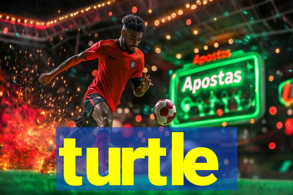 turtle-ty.com