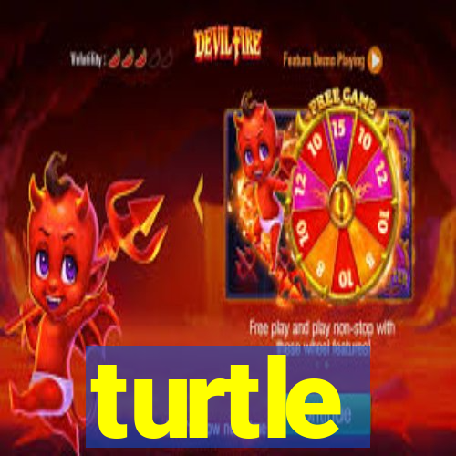 turtle-ty.com