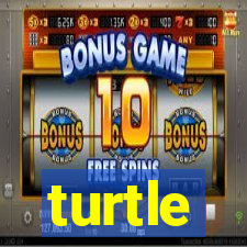 turtle-ty.com