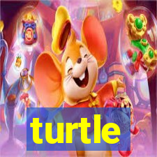 turtle-ty.com